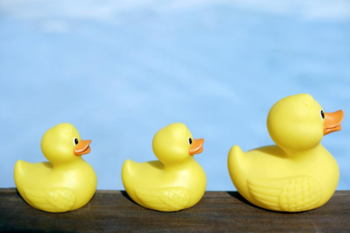 Duck Duck