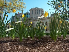 Ohio Statehouse in Springtime