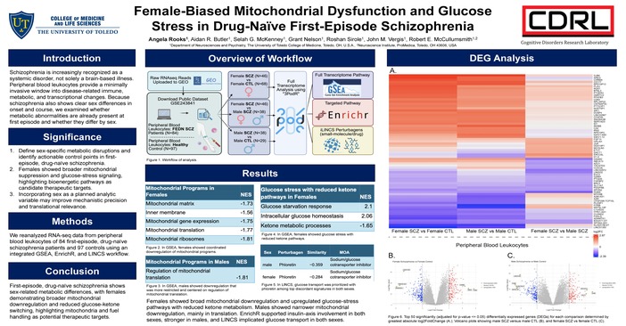 Rooks Female Biased Mitochondrial Dysfunction And Glucose Stress In Drug Naive First Episode Schizophrenia
