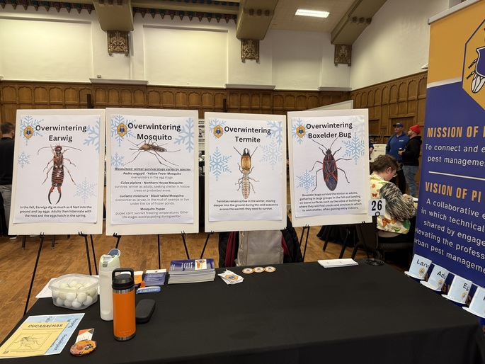 Overwintering Pests Bug Pong 2