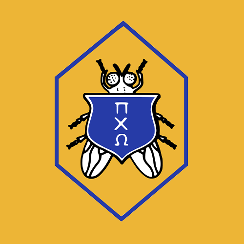 [Duplicate] Pi Chi Omega Launches New Website!