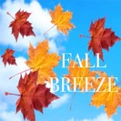Welca Fall Breeze 3 X3