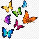 Butterflies 3x3