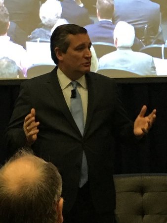 Cruz At Forum