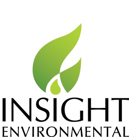Insight Logo Black Text Jpeg
