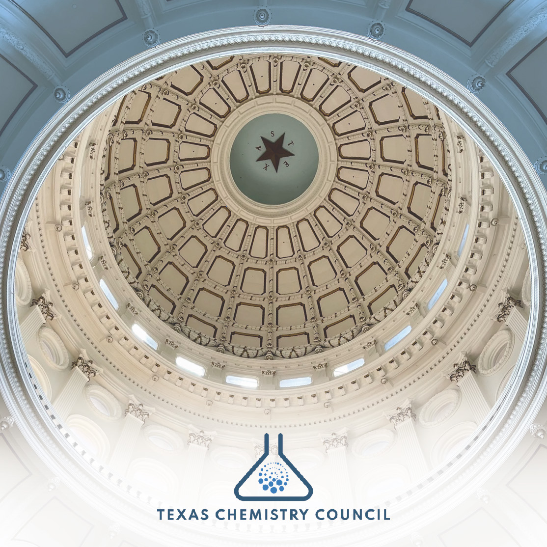 2025 Texas Chemical Council Brochure