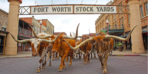 Dfwdt Attractions Stockyards 8314 Hor Wide 300x150 Dfwdt Attractions Stockyards 8314 Hor Wide 300x150