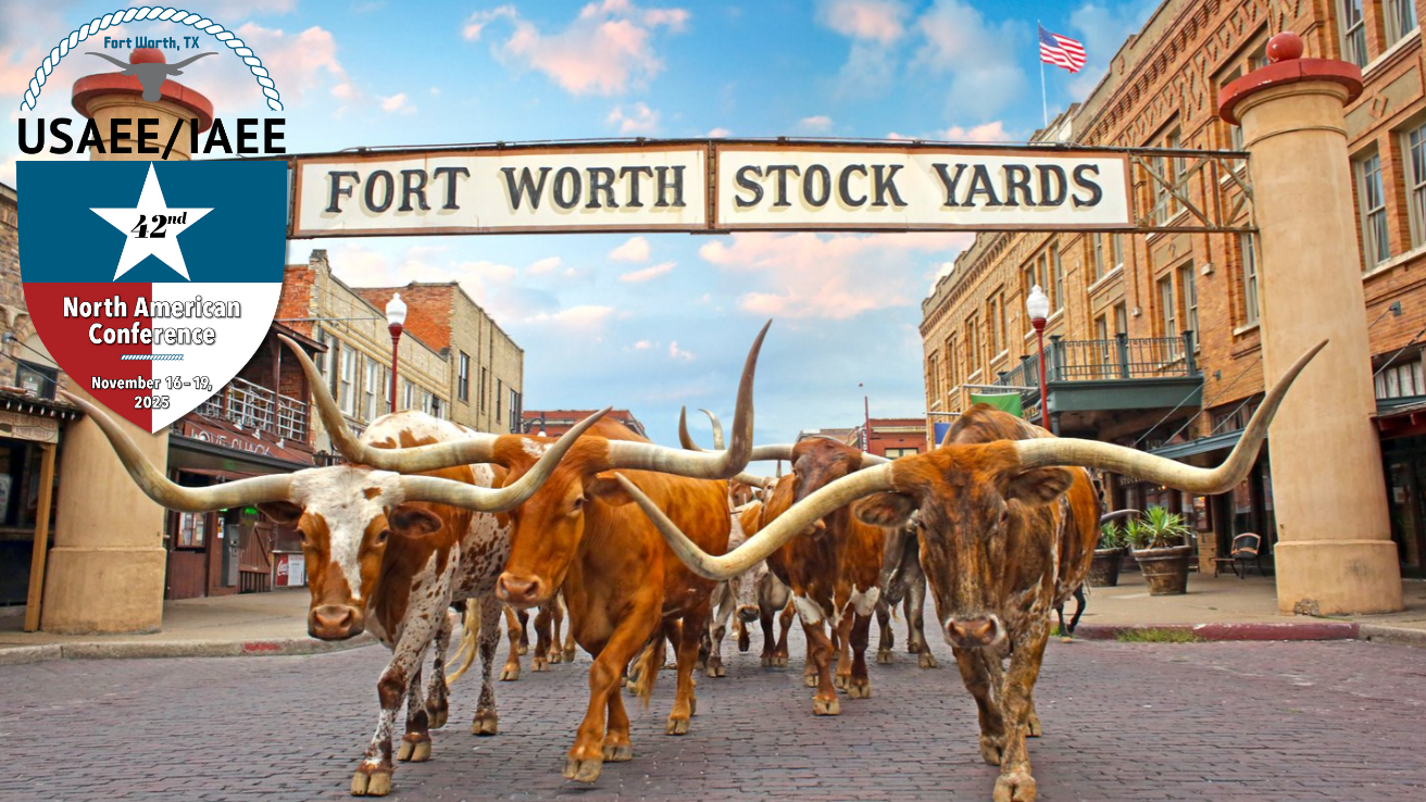 Usaee Newslet 110625