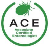 ACE LOGO