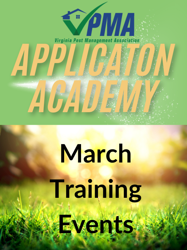 Application Academy: Triple Hitter Technical Training in Three Regions this March