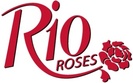 rio rose