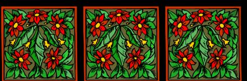 Pointsettias