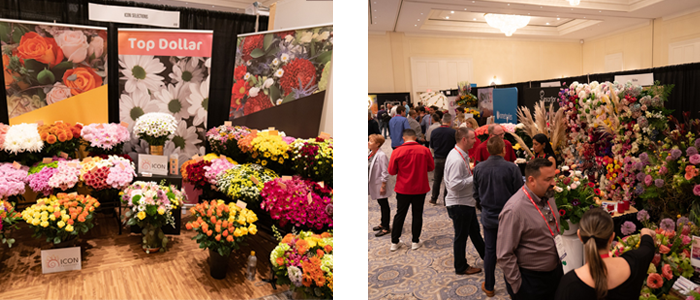 Blog Showfloor