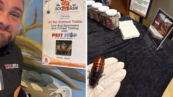 Connecting with the Community: One Bug at a Time