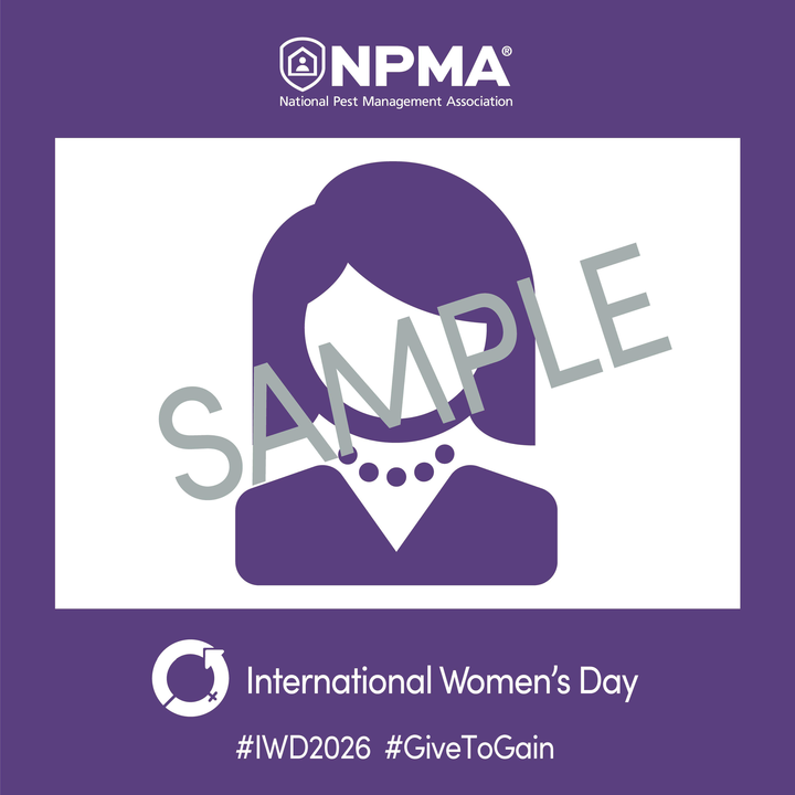 Celebrating International Women’s Day 2026