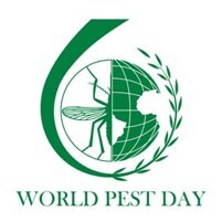 Celebrating 10 Years of World Pest Day: Defending Health Across Borders